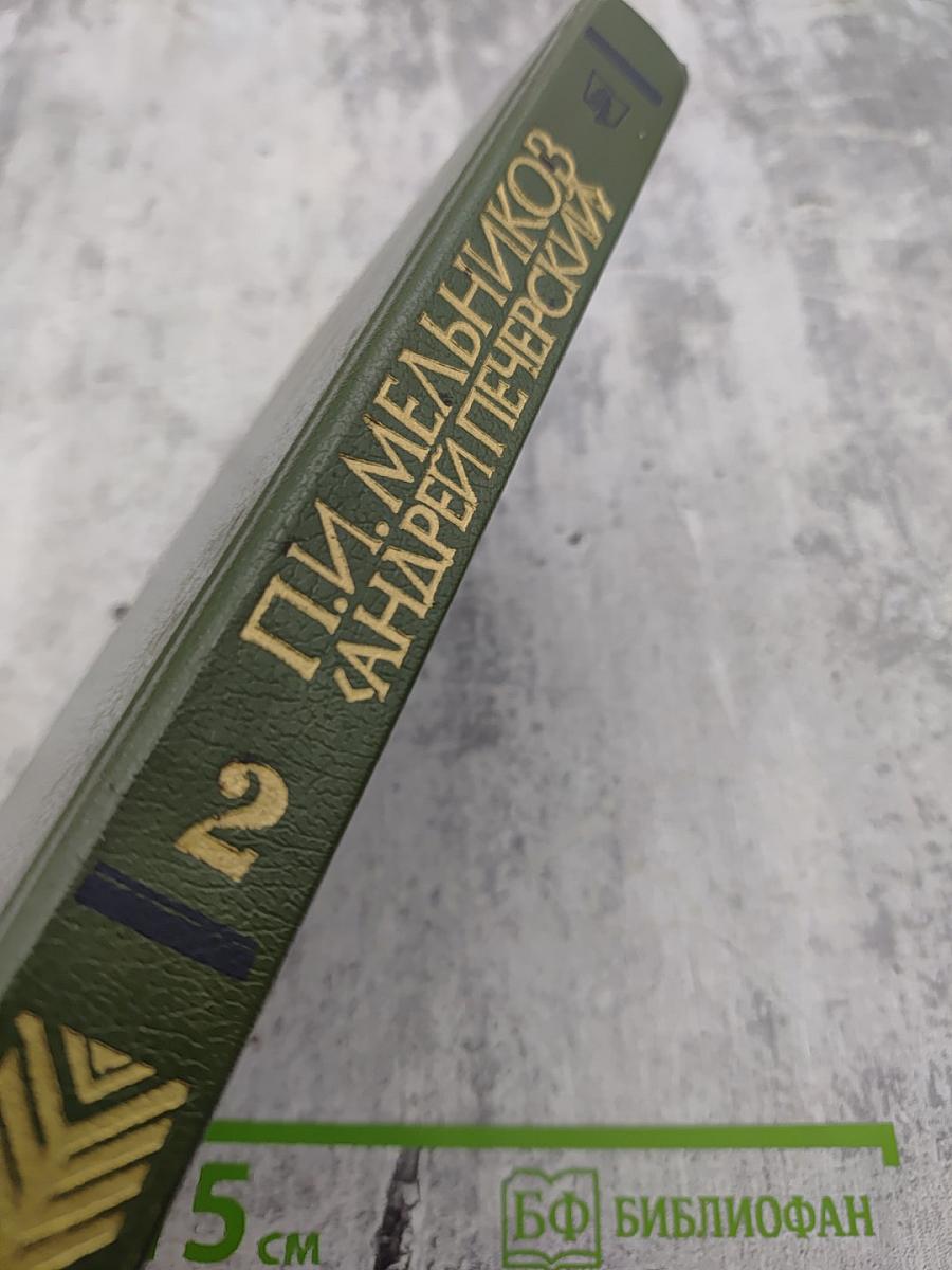 На горах. Книга вторая