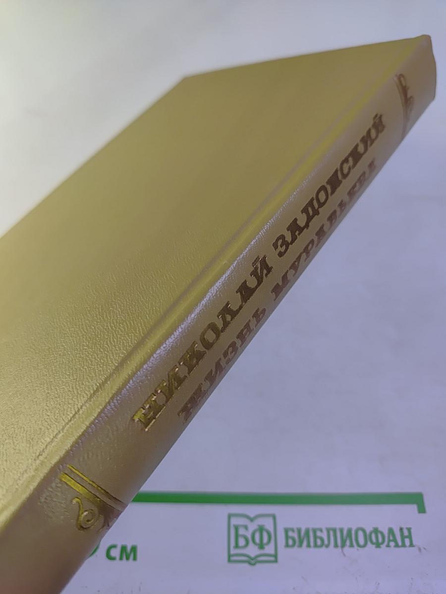 Жизнь Муравьева