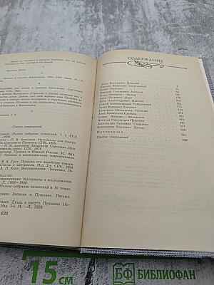 Друзья Пушкина. Переписка. Воспоминания. Дневники. Том 2