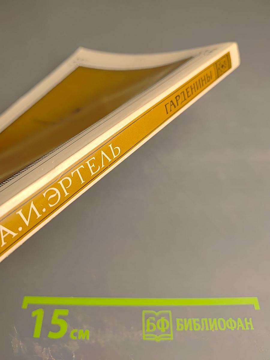 Гарденины, их дворня, приверженцы и враги