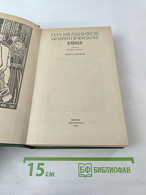 В лесах. Книга первая