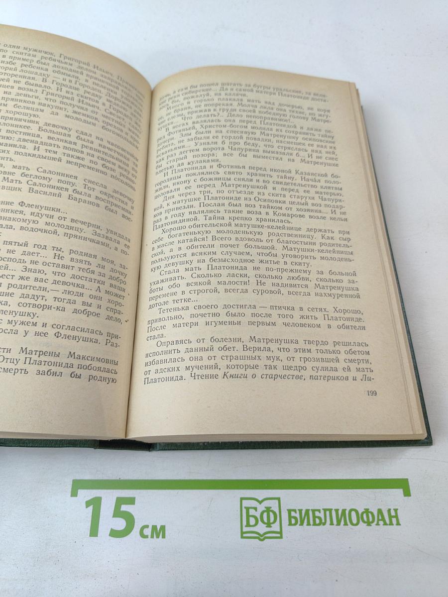 В лесах. Книга первая