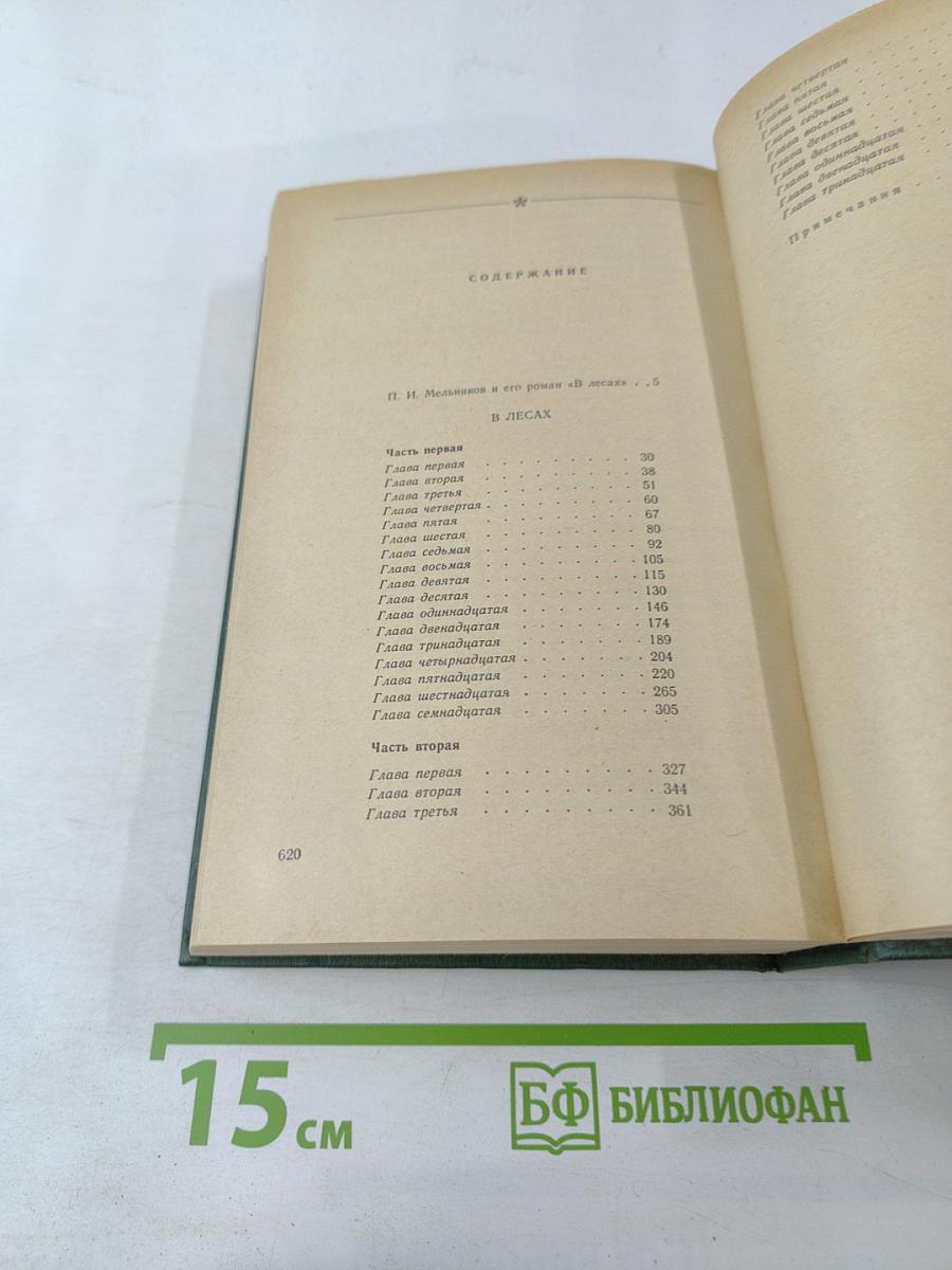 В лесах. Книга первая