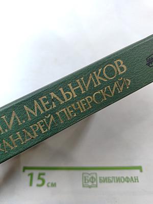 В лесах. Книга первая