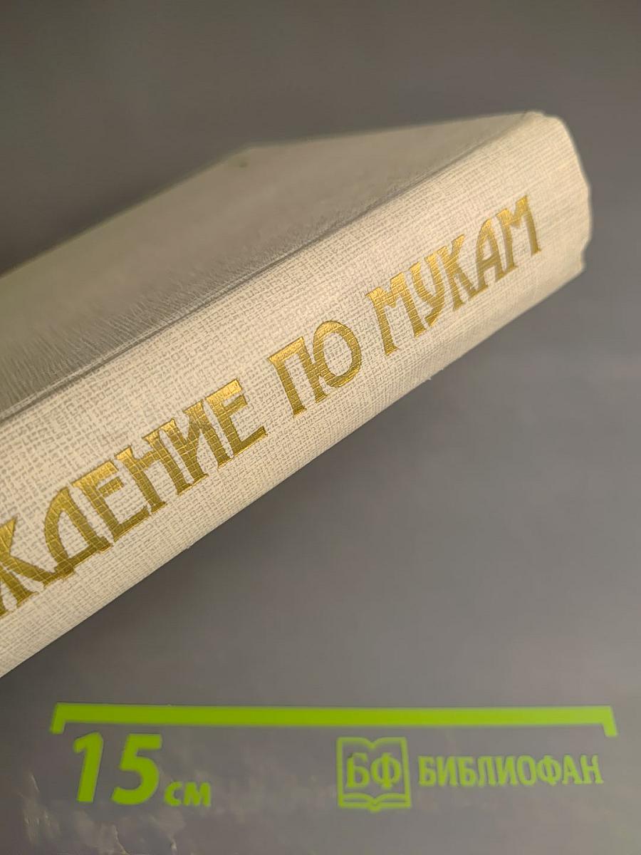 Хождение по мукам. Трилогия