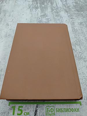 Виконт де Бражелон, или Десять лет спустя. Том 3