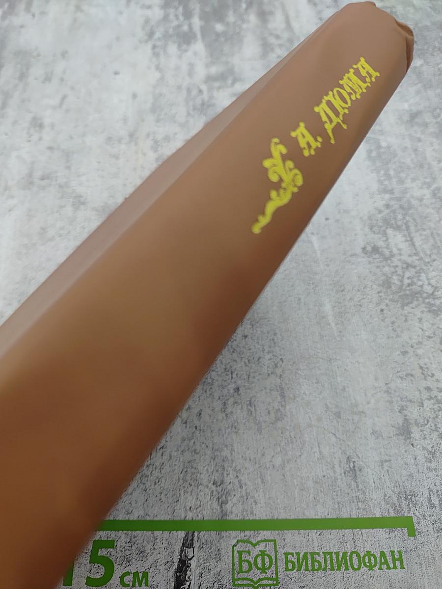 Виконт де Бражелон, или Десять лет спустя. Том 3