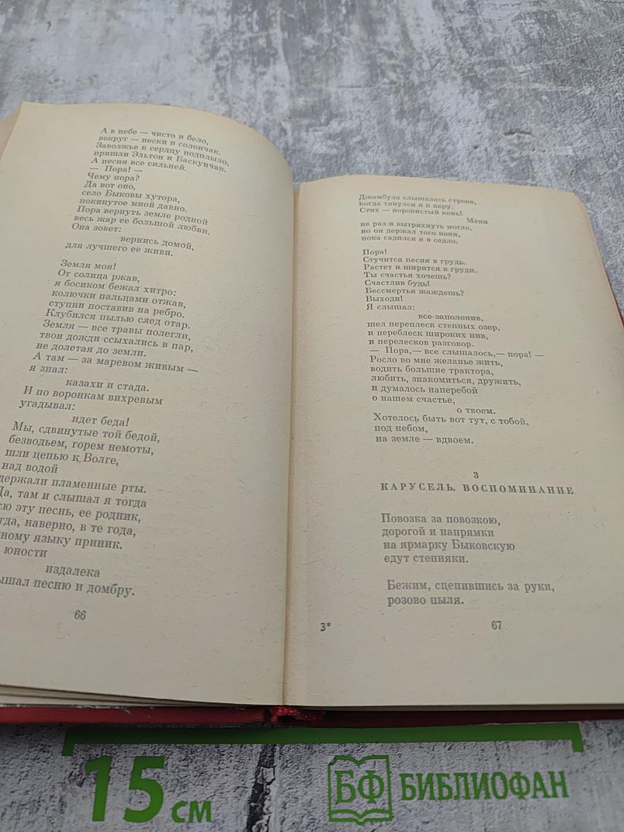 Избранные произведения. Том 2. Поэмы. Заметки о поэзии