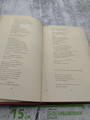 Избранные произведения. Том 2. Поэмы. Заметки о поэзии