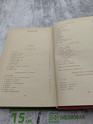 Избранные произведения. Том 2. Поэмы. Заметки о поэзии