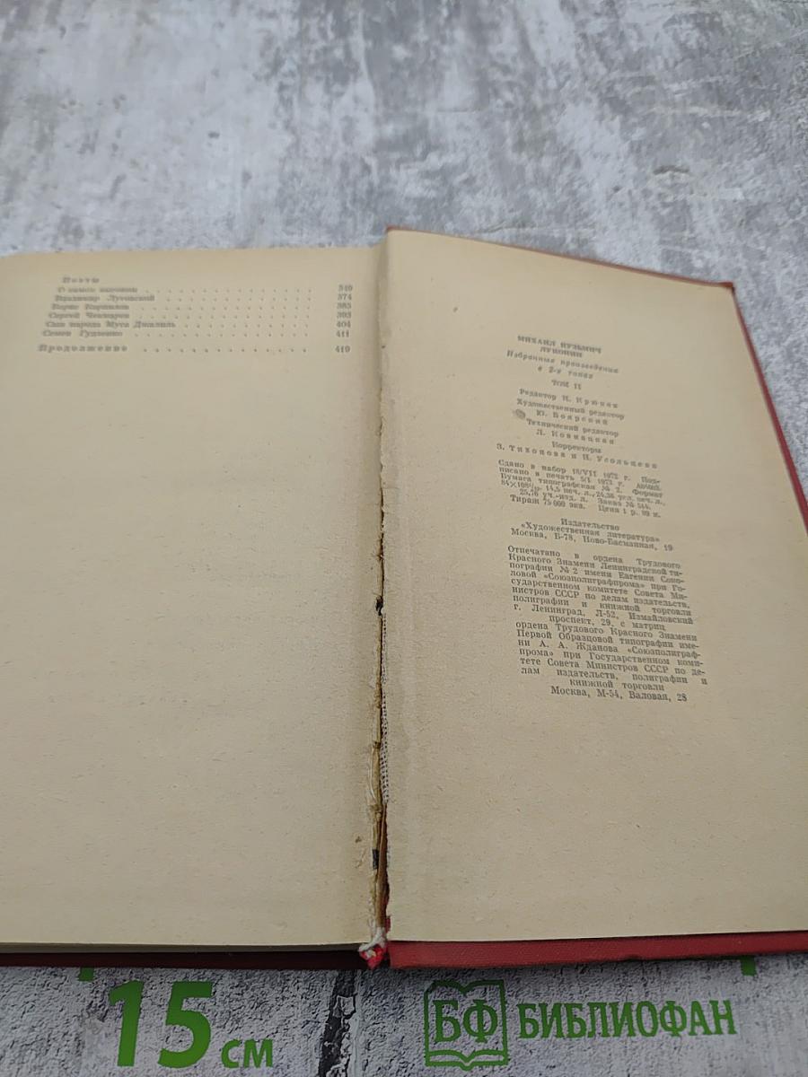 Избранные произведения. Том 2. Поэмы. Заметки о поэзии