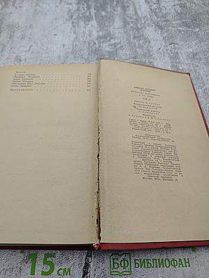 Избранные произведения. Том 2. Поэмы. Заметки о поэзии