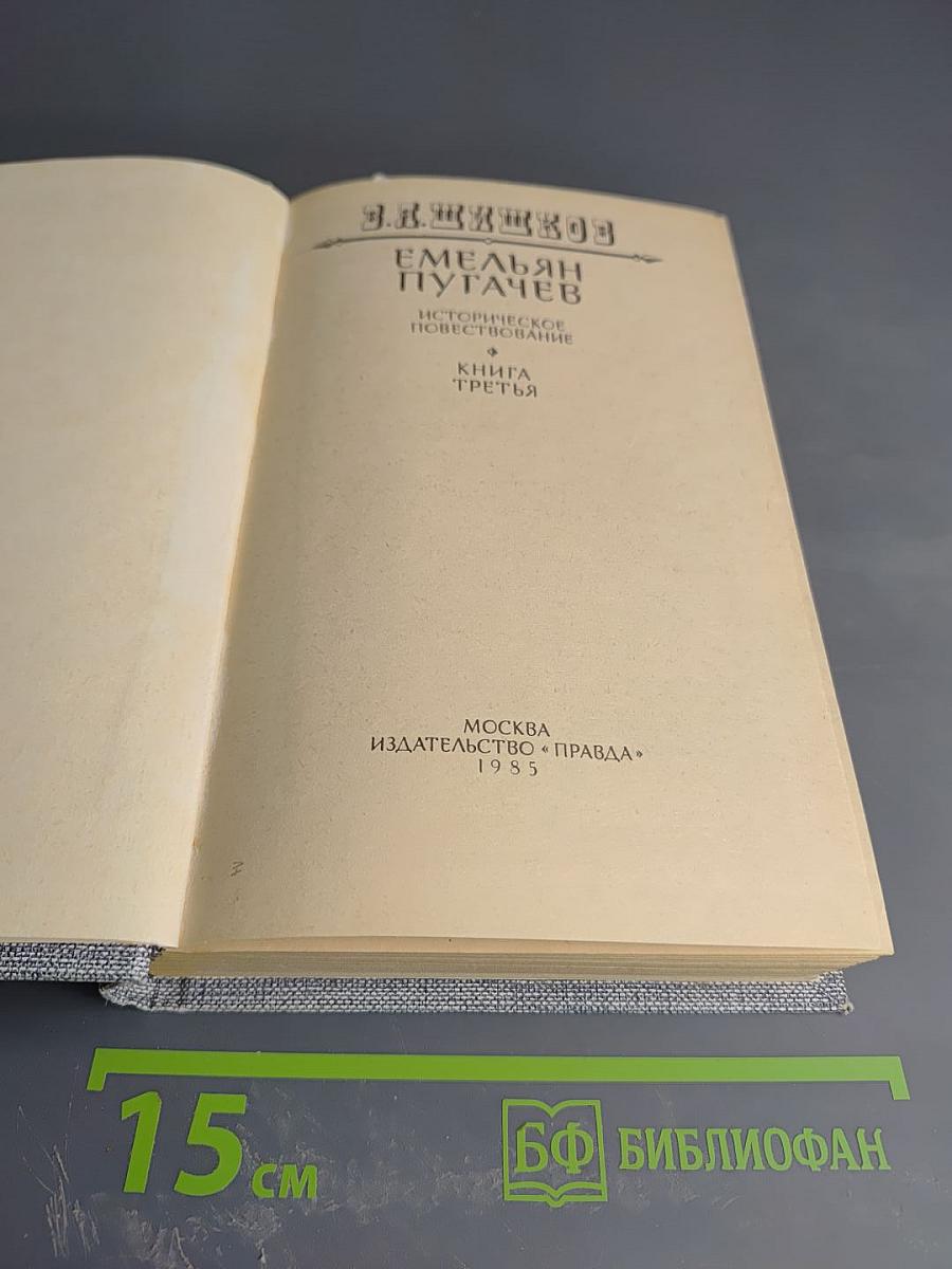 Емельян Пугачев. Историческое повествование. Книга третья