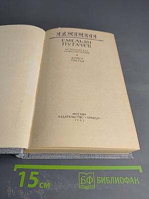 Емельян Пугачев. Историческое повествование. Книга третья