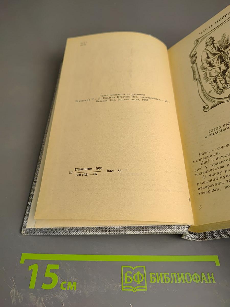 Емельян Пугачев. Историческое повествование. Книга третья