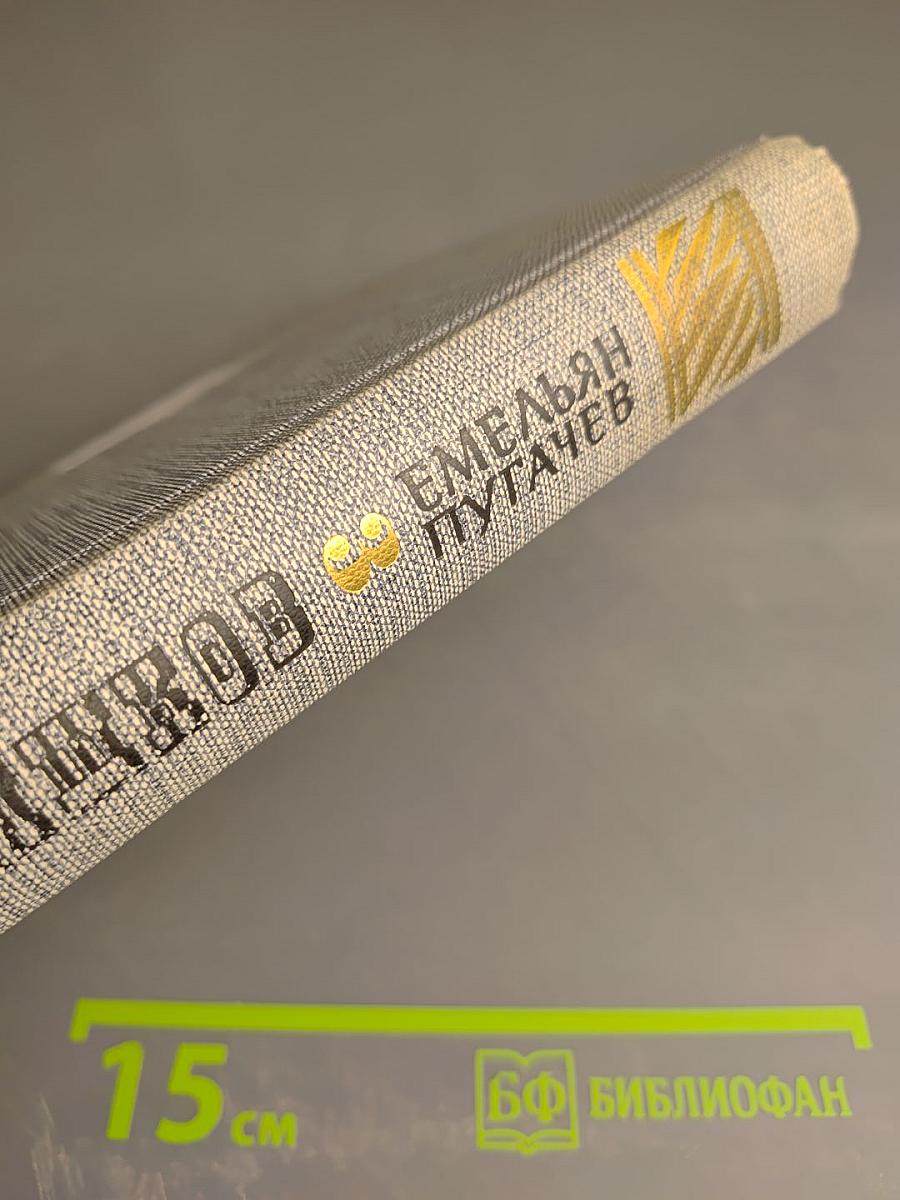 Емельян Пугачев. Историческое повествование. Книга третья