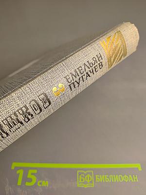 Емельян Пугачев. Историческое повествование. Книга третья