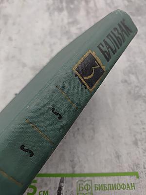 Собрание сочинений в 24 томах. Том 2. Человеческая комедия: Этюды о нравах. Сцены частной жизни