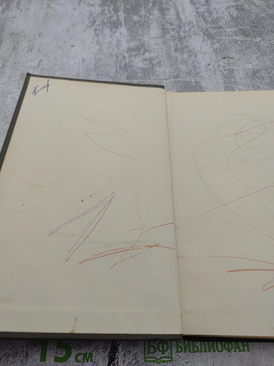 Энциклопедия молодой женщины