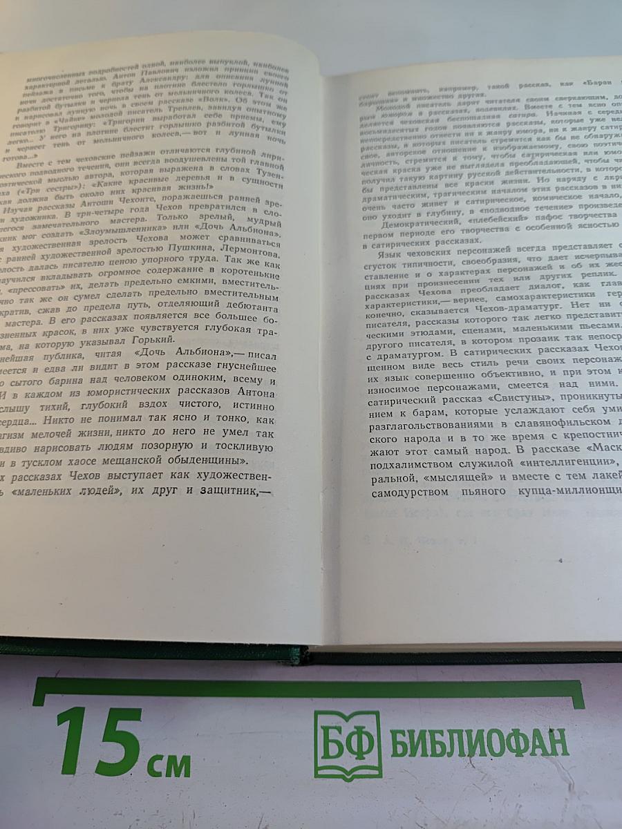 Собрание сочинений. Том первый: Рассказы 1880-1882