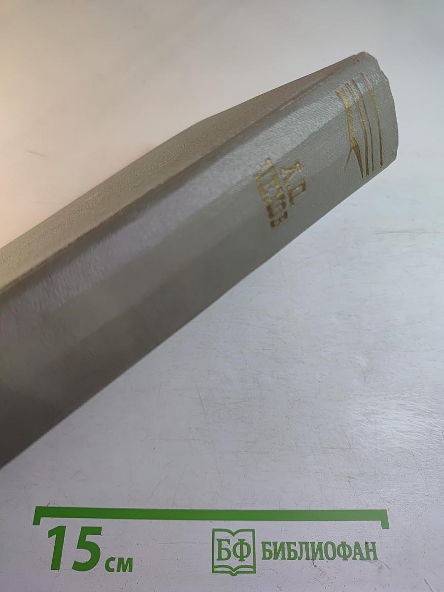 Собрание сочинений. Том четвертый. Рассказы 1886