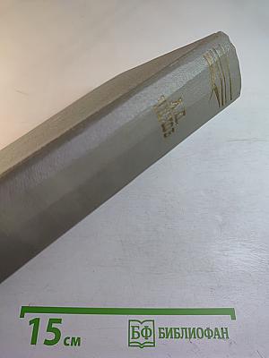 Собрание сочинений. Том четвертый. Рассказы 1886