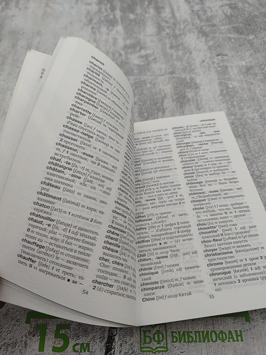 Французско-русский русско-французский словарь ABBYY Lingvo Lite