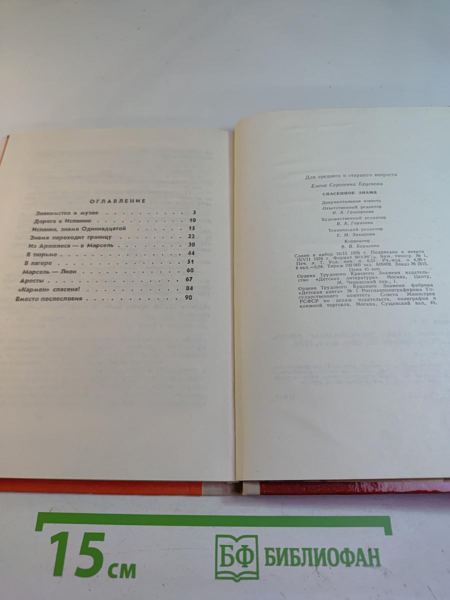 Спасенное знамя