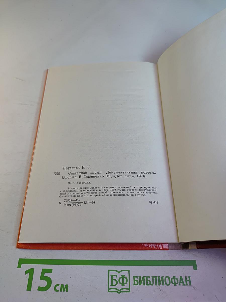 Спасенное знамя