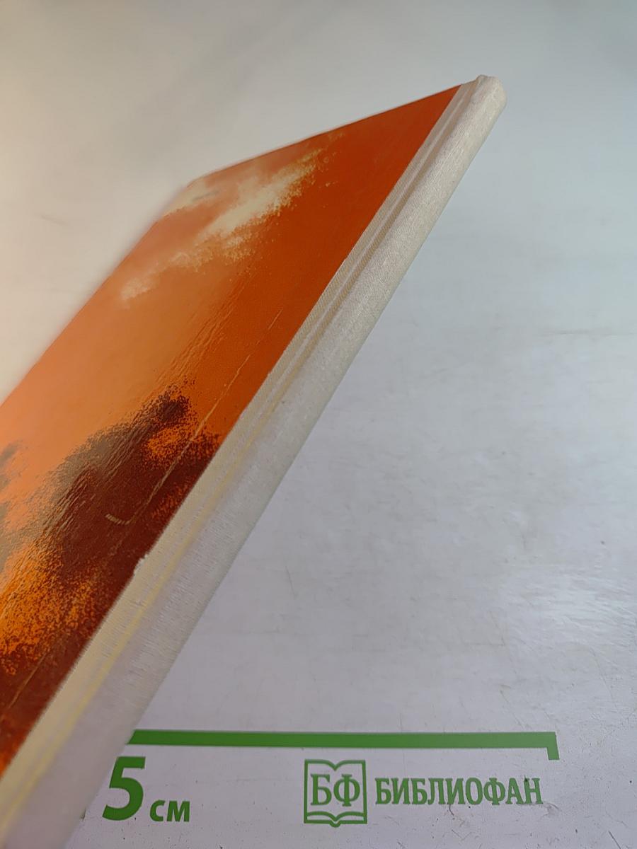 Спасенное знамя