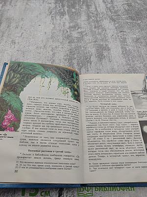 Жизнь — как она возникла? Путем эволюции или путем сотворения?