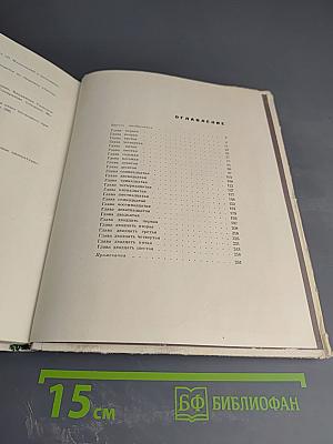 О Владимире Маяковском. Из воспоминаний сестры