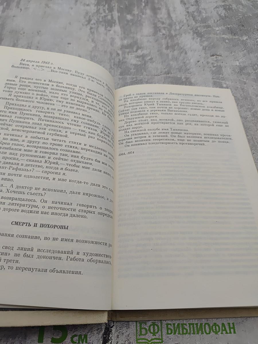 Воспоминания о Ю. Тынянове