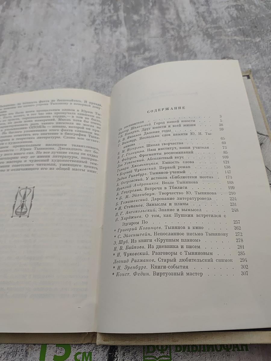 Воспоминания о Ю. Тынянове