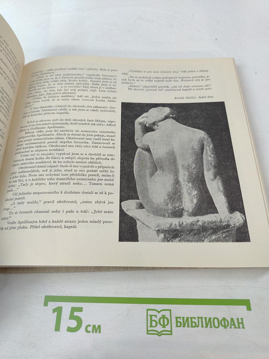 Vzpomínky obchodníka s obrazy