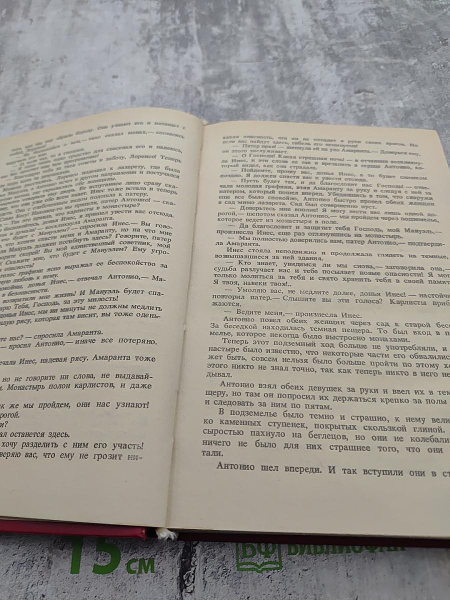 Дон Карлос. Железный граф. Историко-приключенческий роман (Части III-IV)