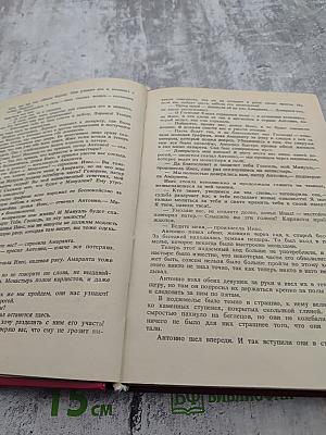 Дон Карлос. Железный граф. Историко-приключенческий роман (Части III-IV)