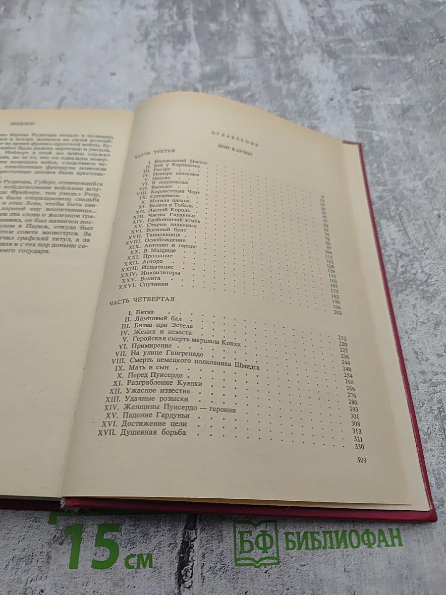 Дон Карлос. Железный граф. Историко-приключенческий роман (Части III-IV)