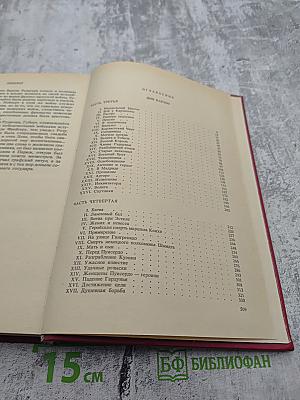 Дон Карлос. Железный граф. Историко-приключенческий роман (Части III-IV)