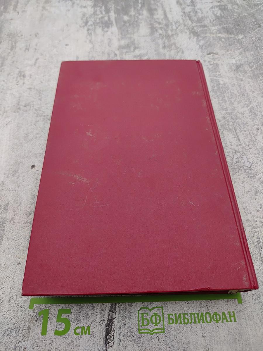 Дон Карлос. Железный граф. Историко-приключенческий роман (Части III-IV)