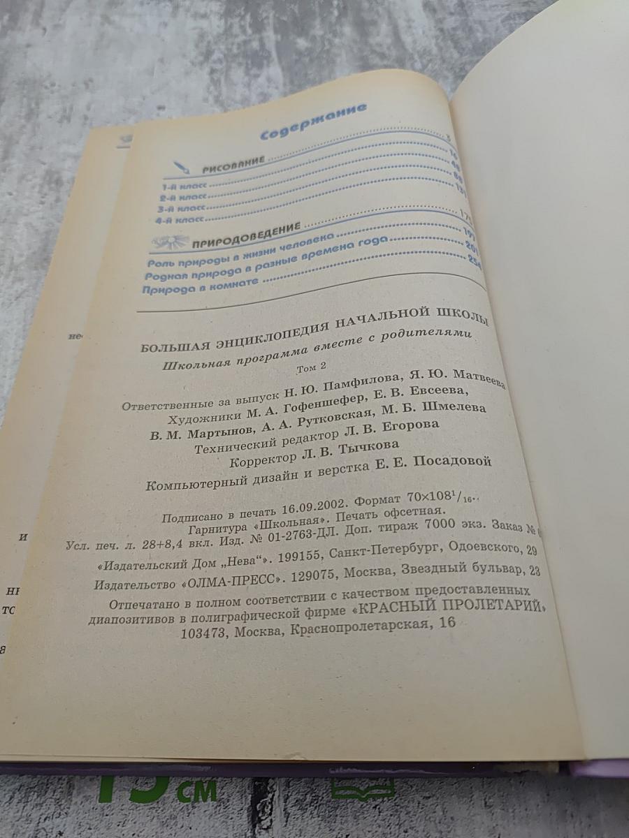 Большая энциклопедия начальной школы. Школьная программа вместе с родителями. Том 2