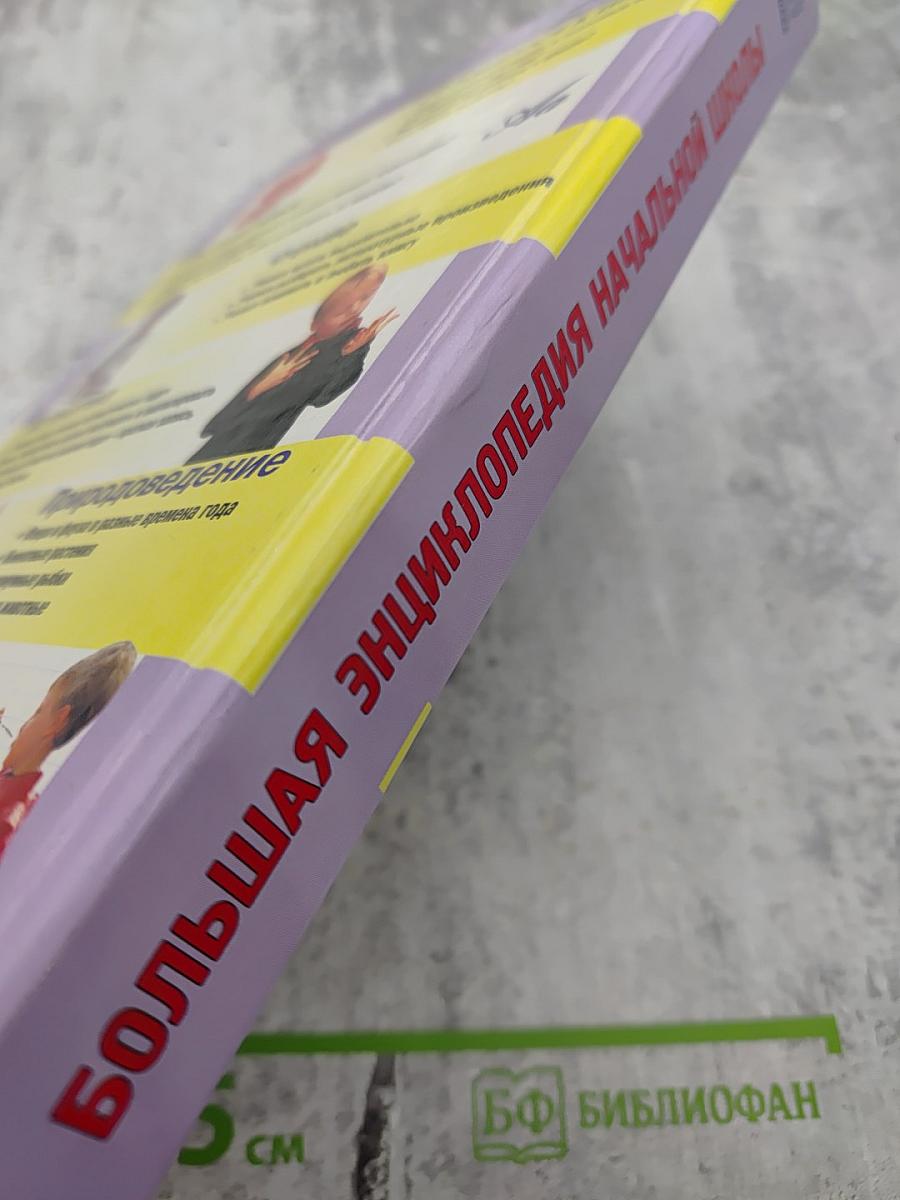 Большая энциклопедия начальной школы. Школьная программа вместе с родителями. Том 2