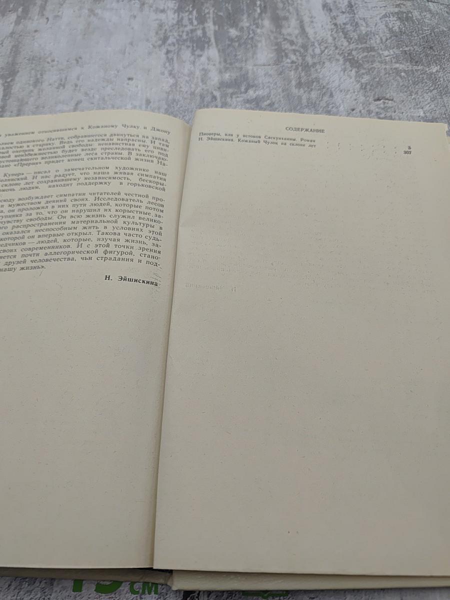 Пионеры, или У истоков Саскуиханны