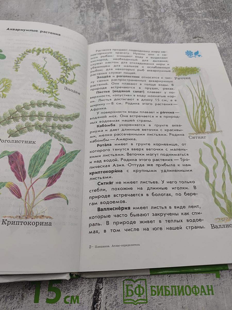Атлас-определитель От земли до неба для учащихся начальных классов