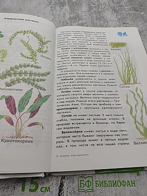 Атлас-определитель От земли до неба для учащихся начальных классов