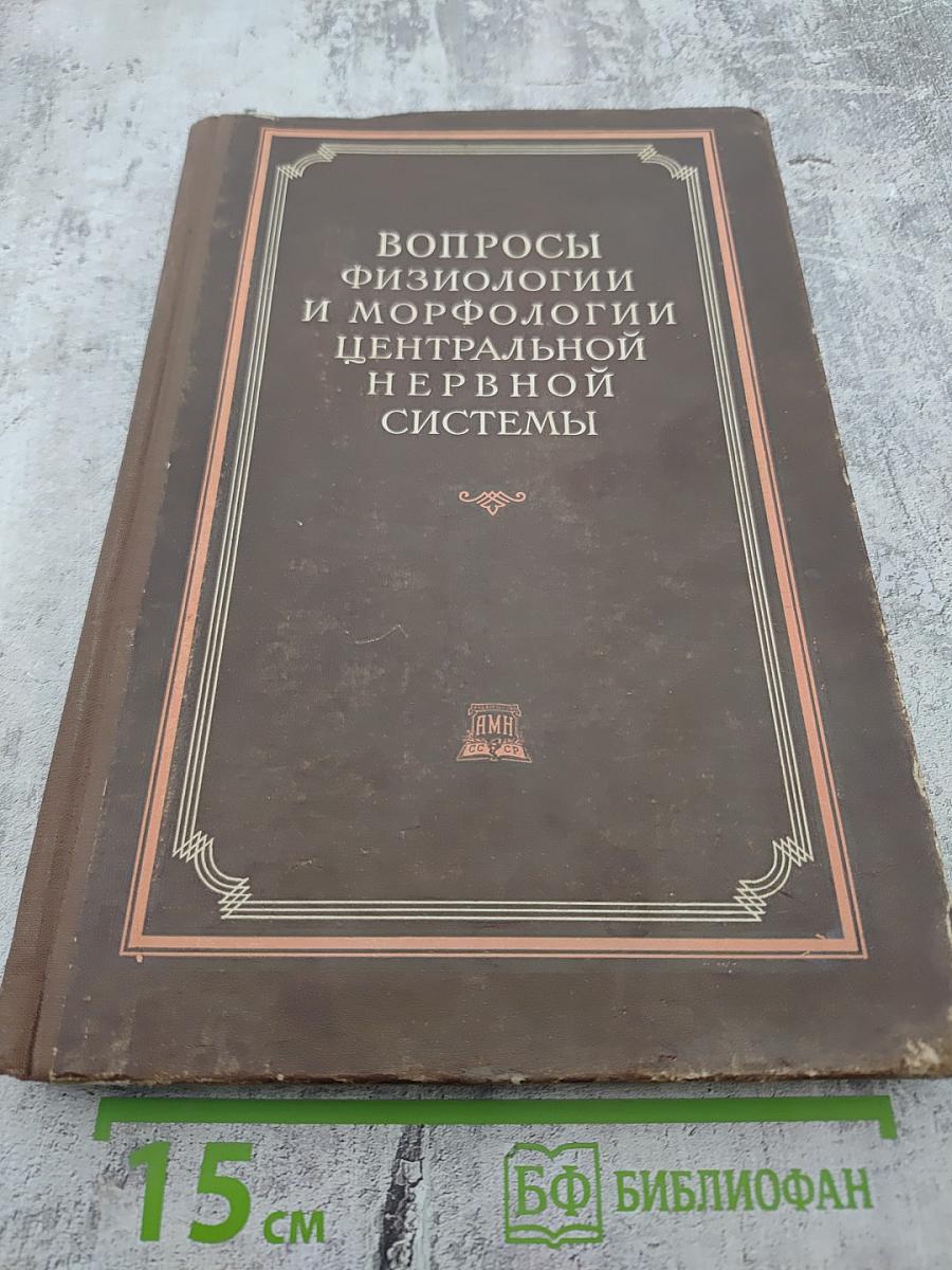 Вопросы физиологии и морфологии центральной нервной системы