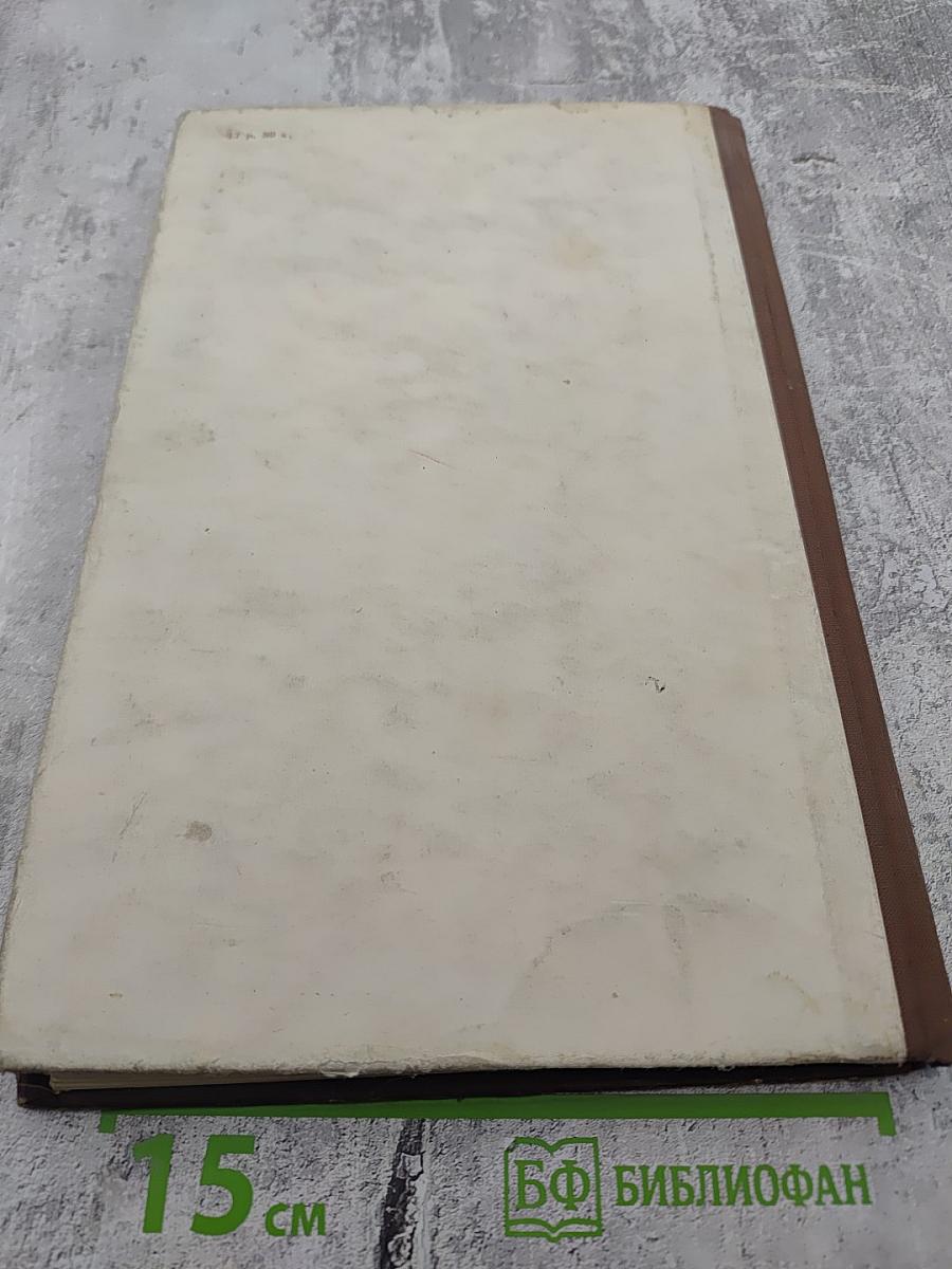 Вопросы физиологии и морфологии центральной нервной системы