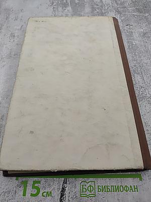 Вопросы физиологии и морфологии центральной нервной системы