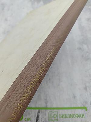 Вопросы физиологии и морфологии центральной нервной системы