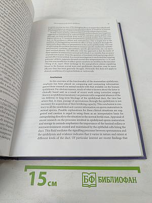 Male Fertility and Infertility